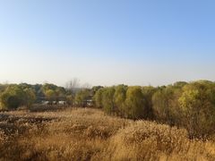 -黄河花园口旅游区