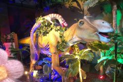 -恐龙探索乐园(磁器口店)