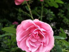-重庆雨台山风景区