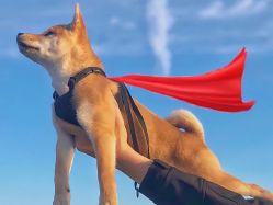 -新生植发·植养护一体