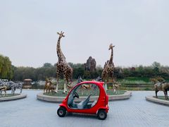 -北京野生动物园