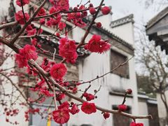 -老门东历史文化街区