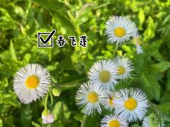-虎丘湿地公园
