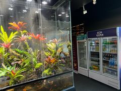 -扶摇湘宴·烤鸭·湘粤宴(中关村·北大店)