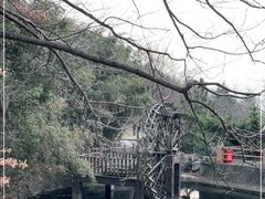-石老人观光园
