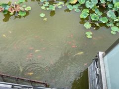 -廊坊文化艺术中心