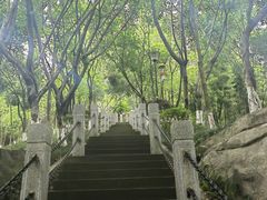 -龙头寺公园