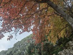 -白马涧龙池景区