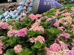 -HALO广场(梨园路店)