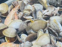 -77号渔船·蒸海鲜青岛菜(积米崖店)