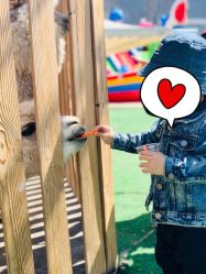 -萌宠亲子动物乐园(槐房万达店)