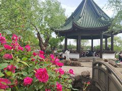 -无锡蠡湖国家湿地公园-蠡园