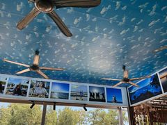 -阿弟特色海鲜餐厅·大排档(平潭店)