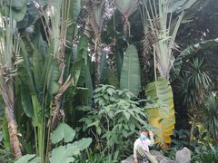 -中国科学院西双版纳热带植物园