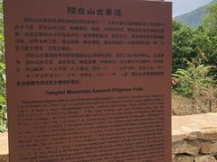 -阳台山自然风景区