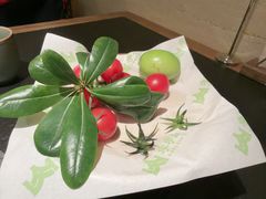 -万达广场(松江店)