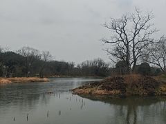 -西溪国家湿地公园