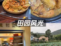 -茅山肴·道家菜·神仙鸡