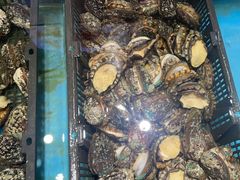 -宝燕壹号(徐汇店)