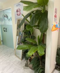 -健身堂科技美肌SPA