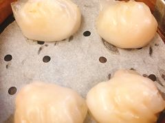 虾饺-点点心点心专门店(湾仔店)