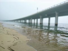 -演武大桥观景平台