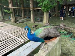 -南京金牛湖风景区