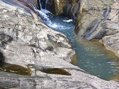 -广州白江湖森林公园