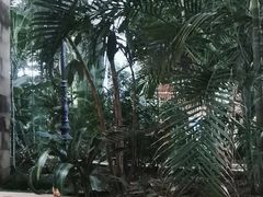 -国信南山温泉