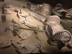 -洛阳周王城天子驾六博物馆