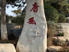 -中国唐苑