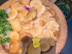 -季季山·云南野生菌火锅(上海首店)