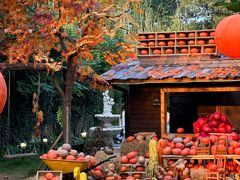 -HERRE·FARM 赫尔露营农场·团建聚会包场