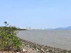 -深圳湾公园(南山区)
