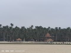 -东郊椰林