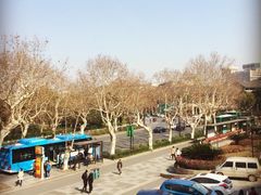 picture-青藤茶馆(南山路店)