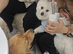 -怪兽屋·羊驼·猫咖·狗咖(俊华广场店)