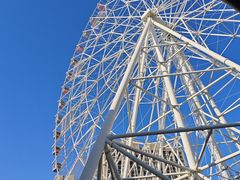 -弘阳·未来世界(弘阳广场店)