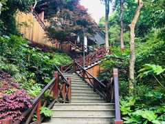 -宁海森林温泉