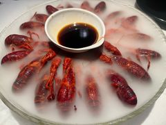 精品冰镇龙虾-红盔甲·小龙虾(昌里路店)