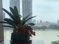 -半岛太子酒家(海港城店)