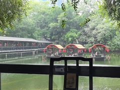 -侨美·唐荔园·40年地道粤菜