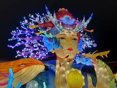 -南山公园
