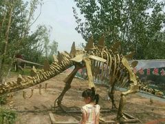 -永定河休闲森林公园