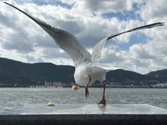 -海埂大坝