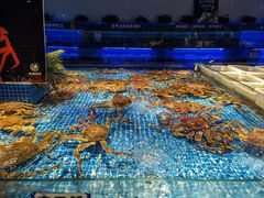 水产区-驻海渔市(置信店)