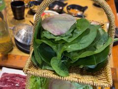 -手选潮汕鲜牛肉火锅(二七广场店)