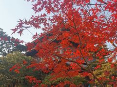 -龙华寺