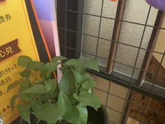 -竹雀古法采耳(青岛麦凯乐店)