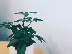 -Onirii Coffee(长乐路店)